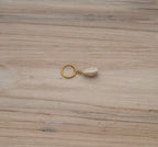 Purple Cowrie Shell Bikini Charm Gold