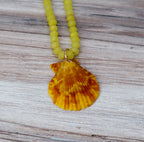 Citrine & Yellow Pectin Shell Necklace