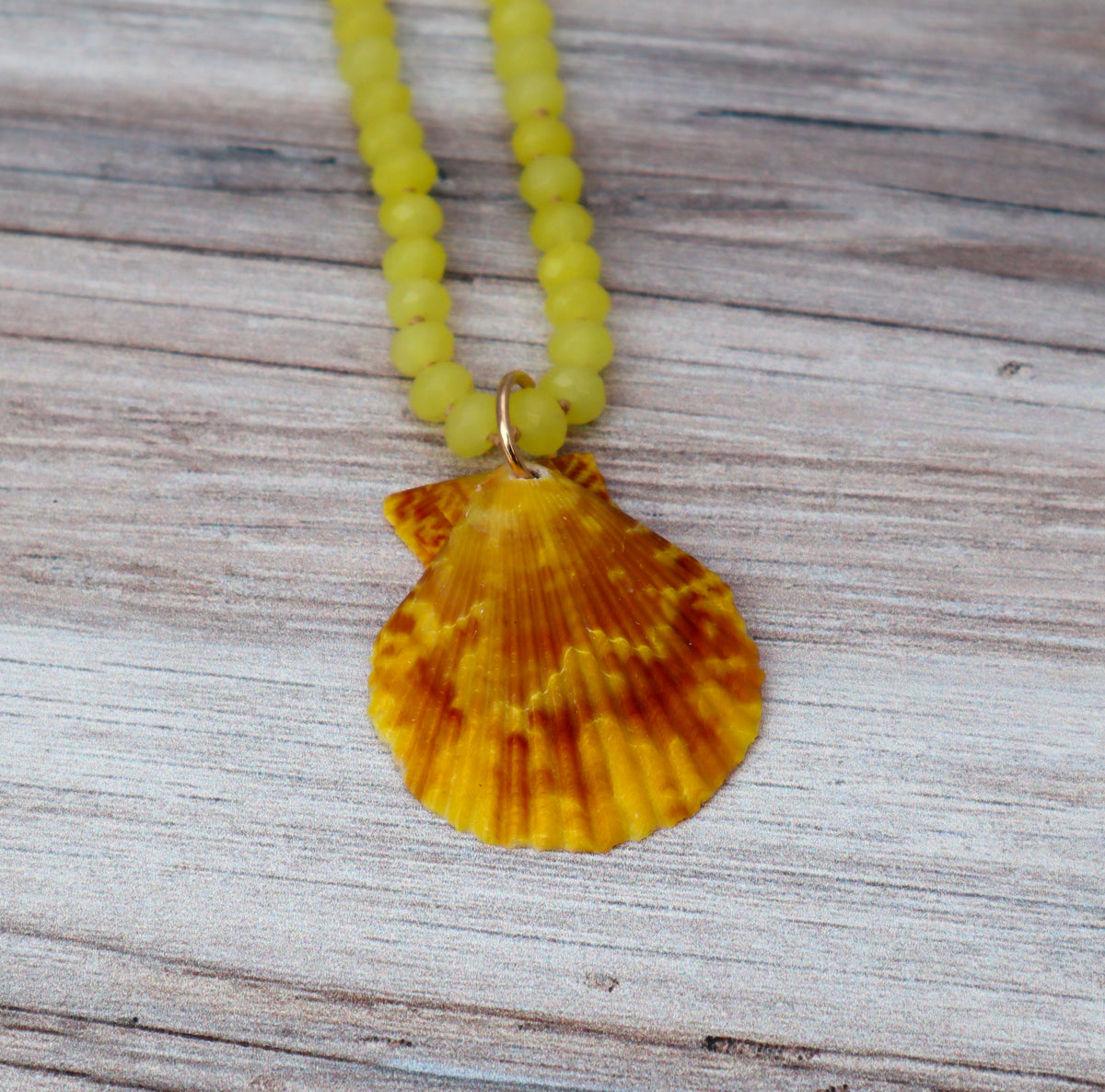 Citrine & Yellow Pectin Shell Necklace