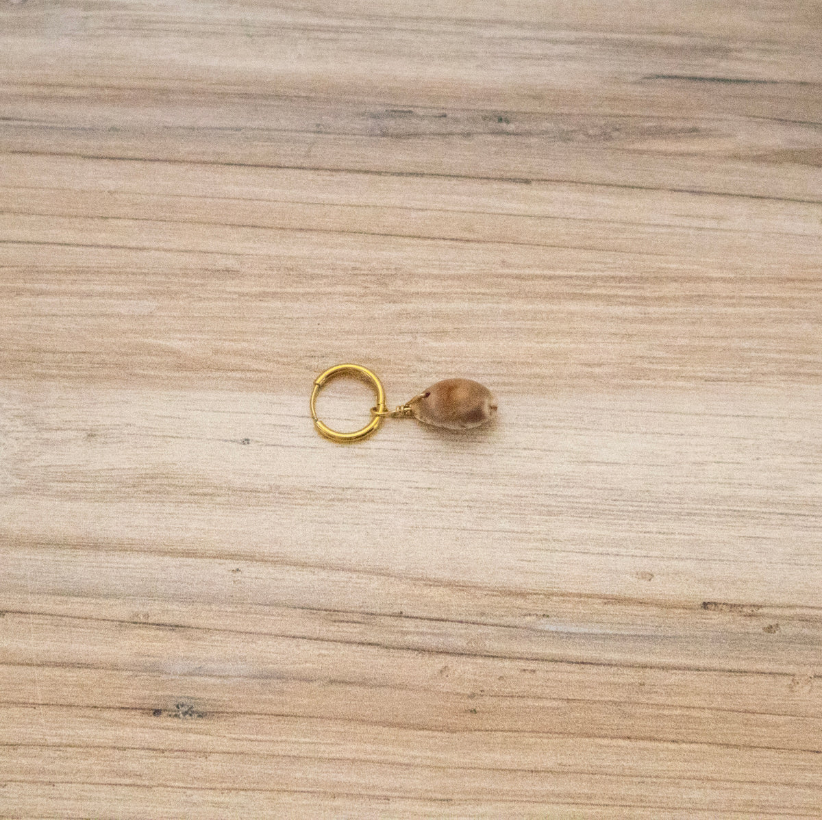 Cowrie Shell Bikini Charm