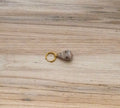 Crowned Cone Shell Bikini Charm Gold