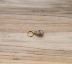 Crowned Cone Shell Bikini Charm Gold