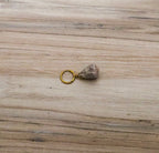 Crowned Cone Shell Bikini Charm Gold