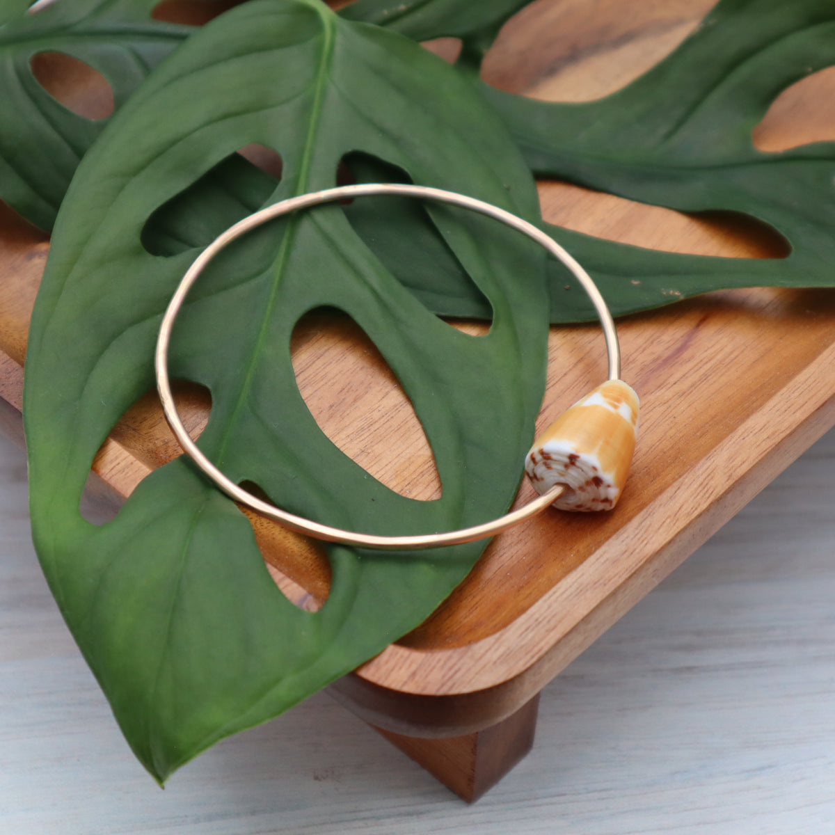 Ringed Cone Shell Bangle 8"